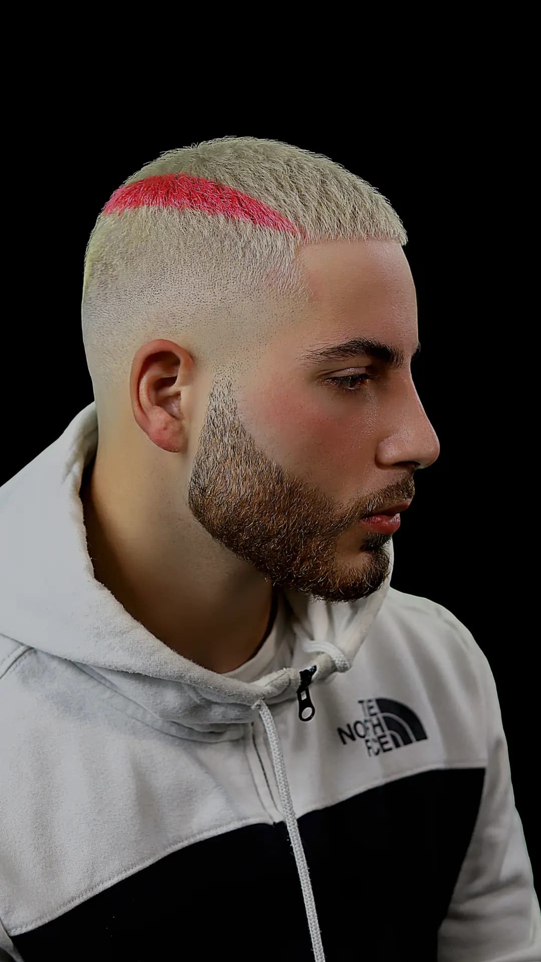 Professional fade cut showcase